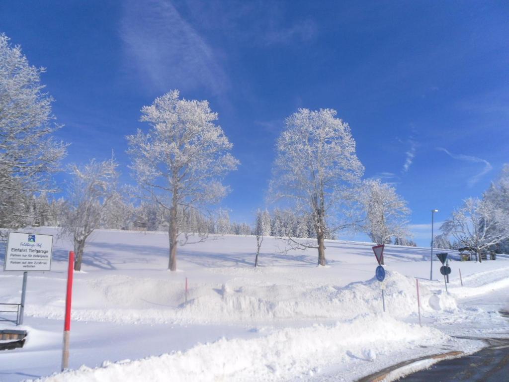 Landgasthaus Gemsennest Hotel Feldberg  Luaran gambar