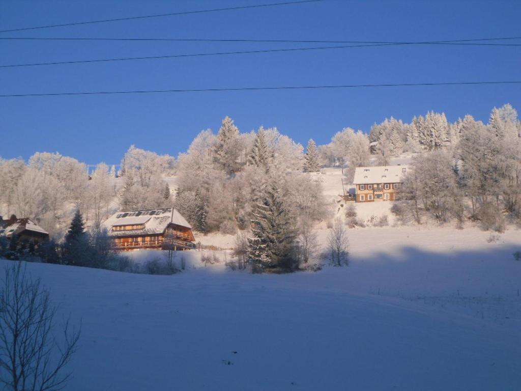 Landgasthaus Gemsennest Hotel Feldberg  Luaran gambar