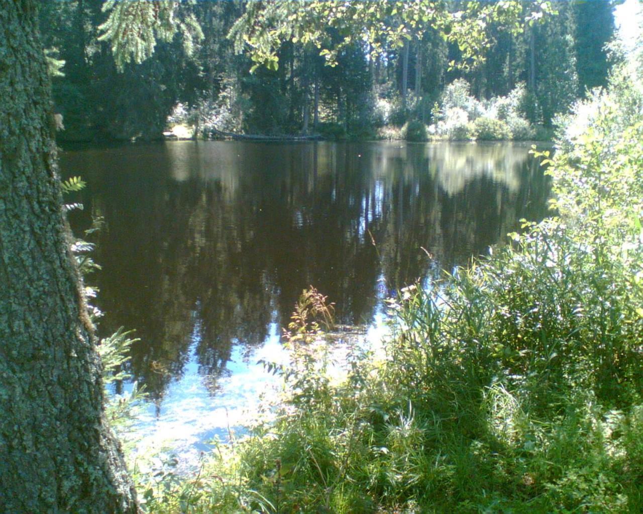 Landgasthaus Gemsennest Hotel Feldberg  Luaran gambar