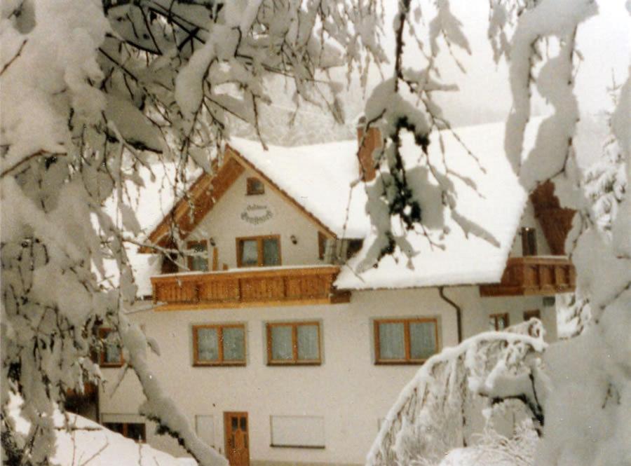 Landgasthaus Gemsennest Hotel Feldberg  Luaran gambar