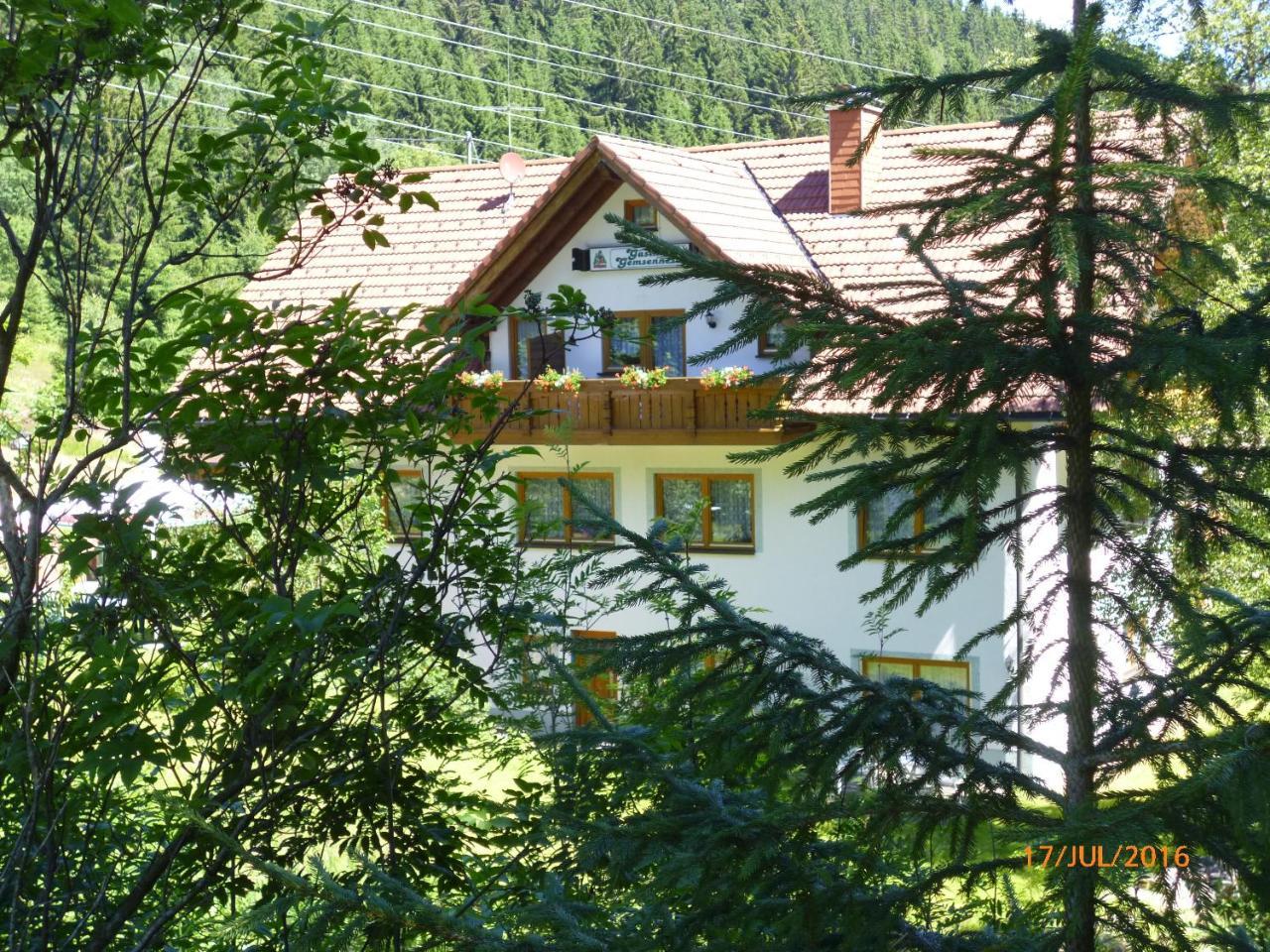 Landgasthaus Gemsennest Hotel Feldberg  Luaran gambar