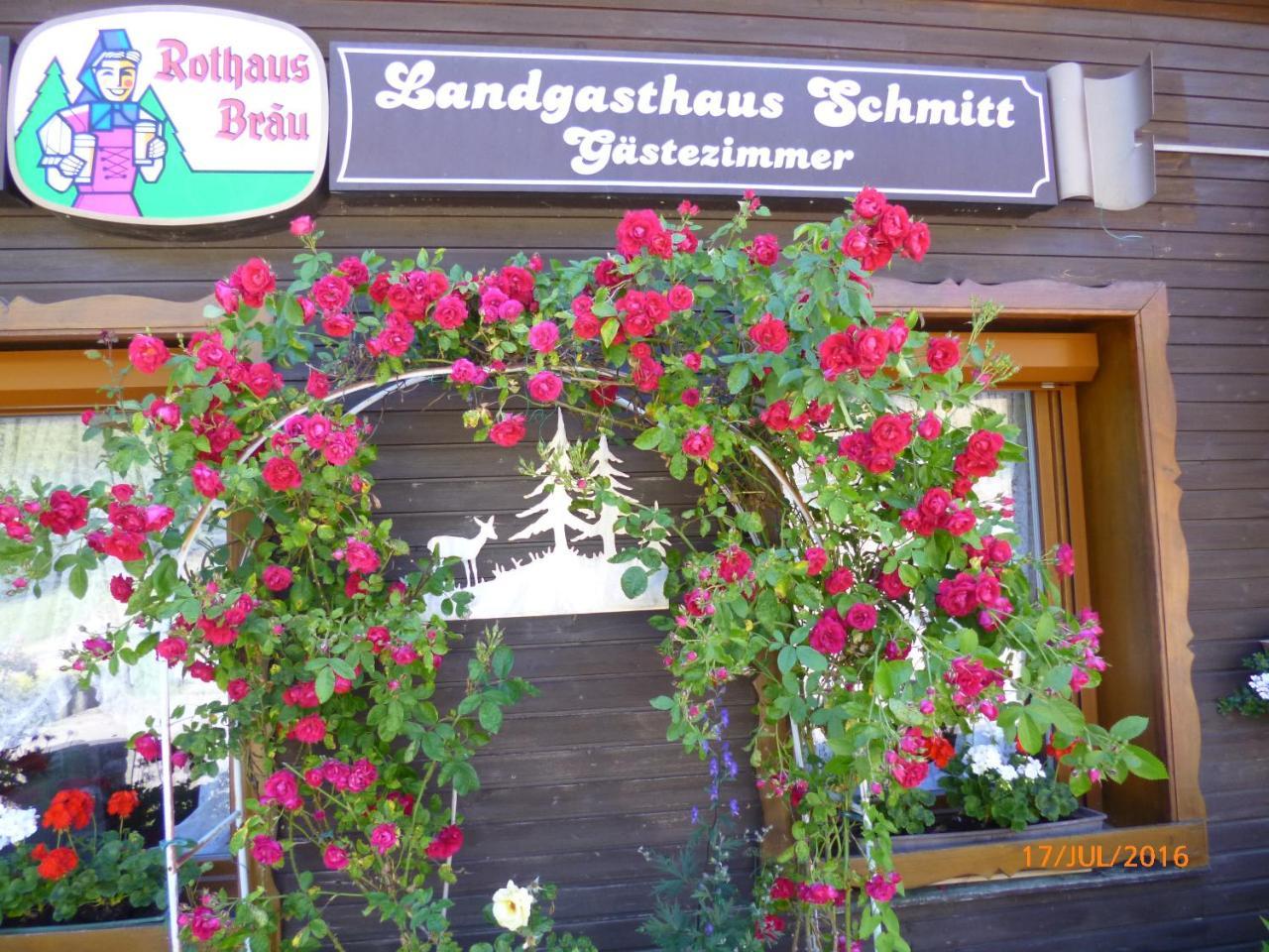 Landgasthaus Gemsennest Hotel Feldberg  Luaran gambar